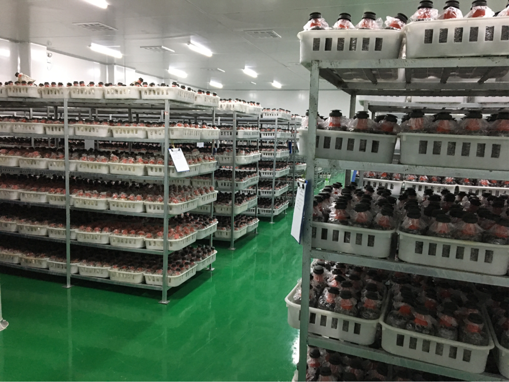 PP电子5金狮·(中国区)游戏官方网站