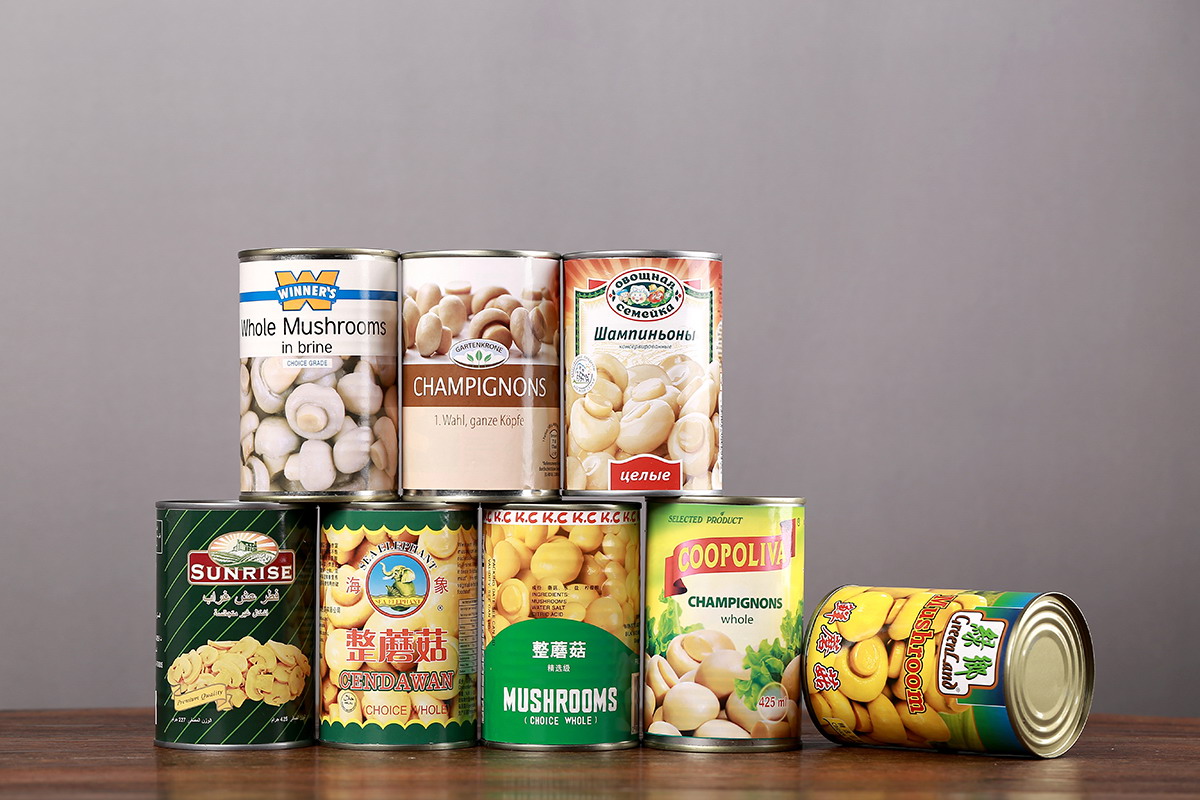 PP电子5金狮·(中国区)游戏官方网站