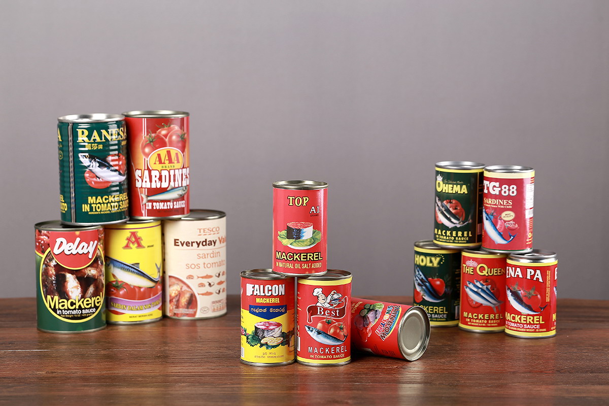 PP电子5金狮·(中国区)游戏官方网站