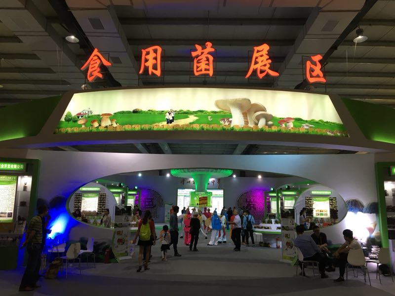 PP电子5金狮·(中国区)游戏官方网站