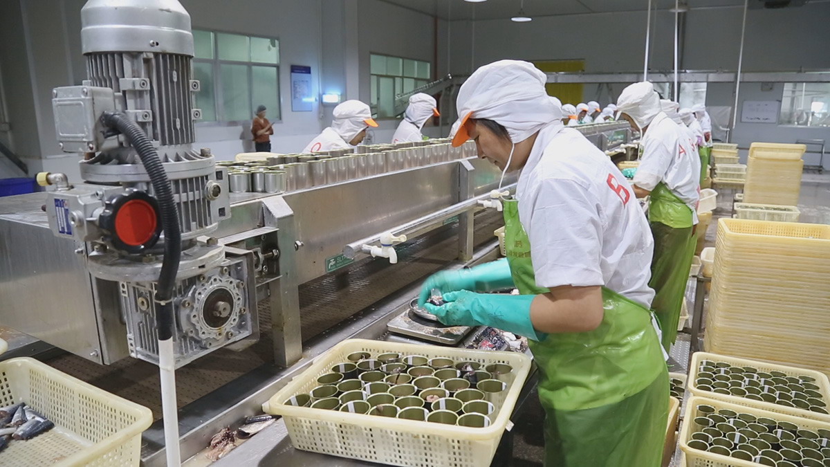 PP电子5金狮·(中国区)游戏官方网站