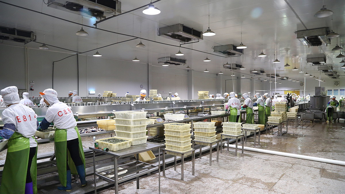 PP电子5金狮·(中国区)游戏官方网站