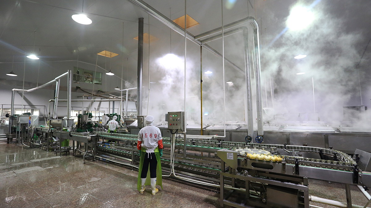 PP电子5金狮·(中国区)游戏官方网站