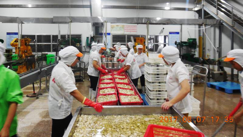 PP电子5金狮·(中国区)游戏官方网站