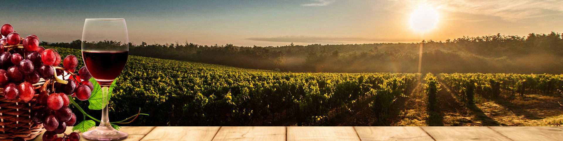 PP电子5金狮·(中国区)游戏官方网站