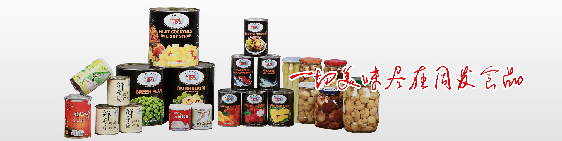 PP电子5金狮·(中国区)游戏官方网站