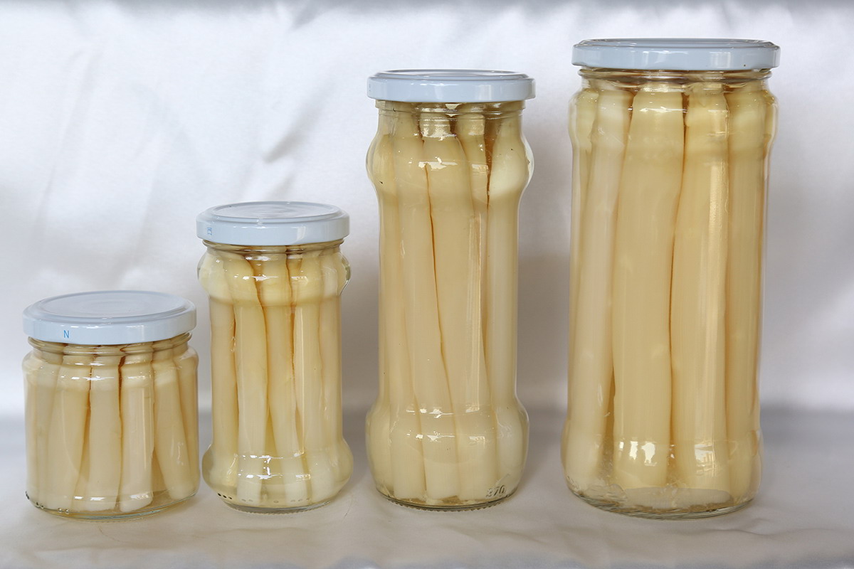 PP电子5金狮·(中国区)游戏官方网站