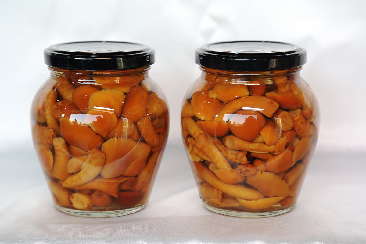 PP电子5金狮·(中国区)游戏官方网站