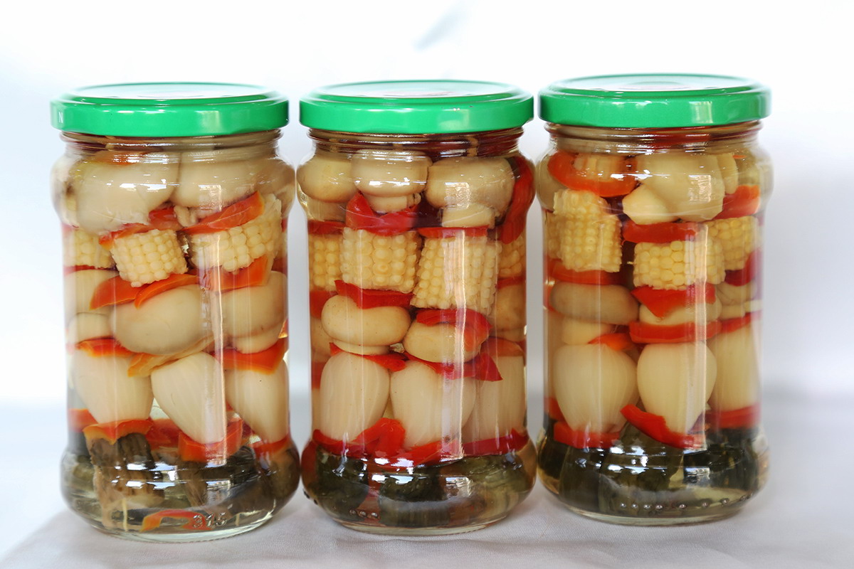 PP电子5金狮·(中国区)游戏官方网站