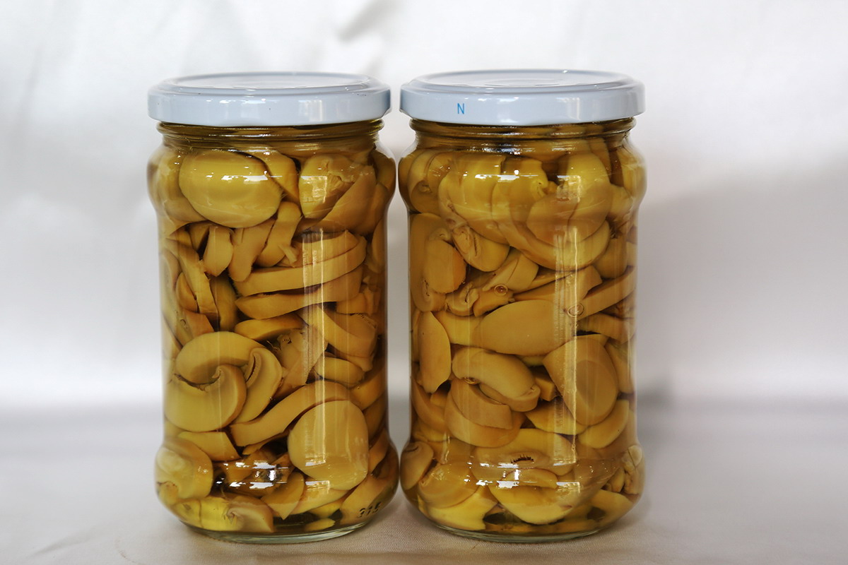 PP电子5金狮·(中国区)游戏官方网站