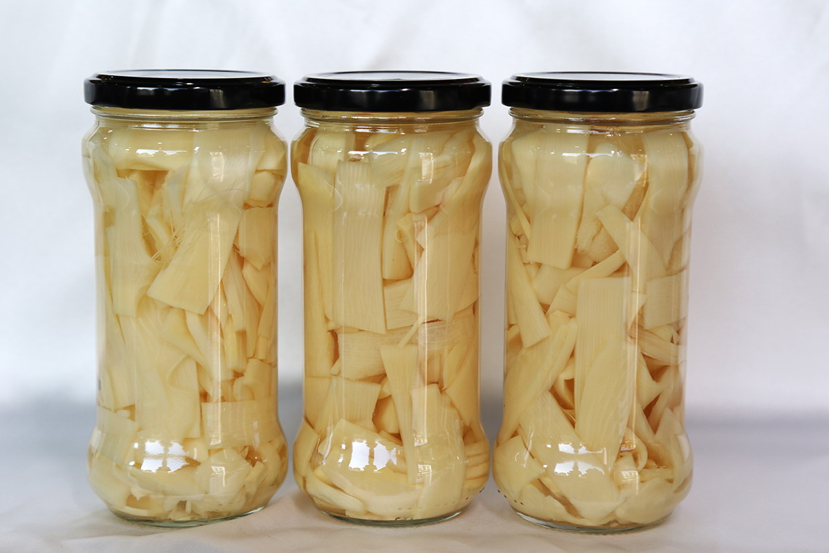 PP电子5金狮·(中国区)游戏官方网站