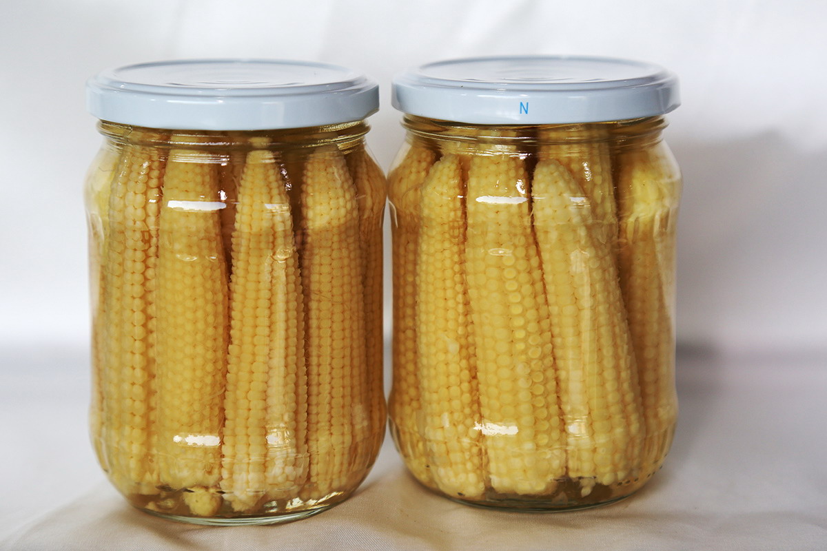 PP电子5金狮·(中国区)游戏官方网站