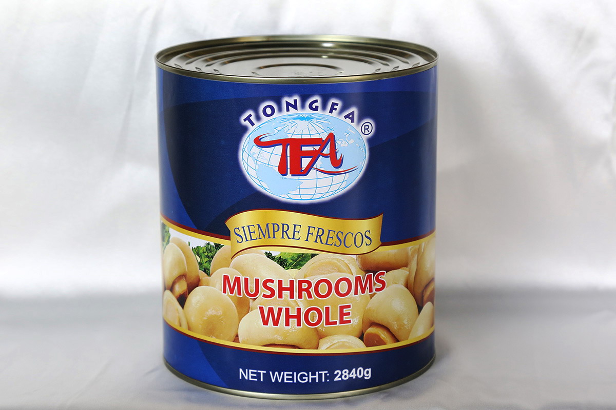 PP电子5金狮·(中国区)游戏官方网站