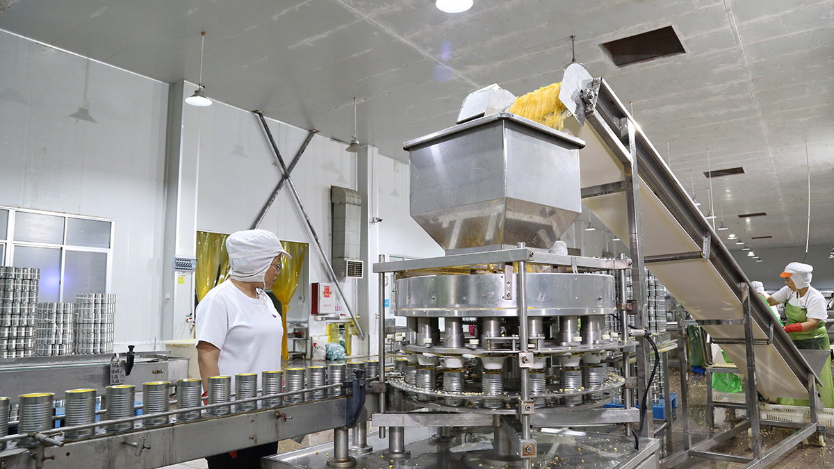 PP电子5金狮·(中国区)游戏官方网站