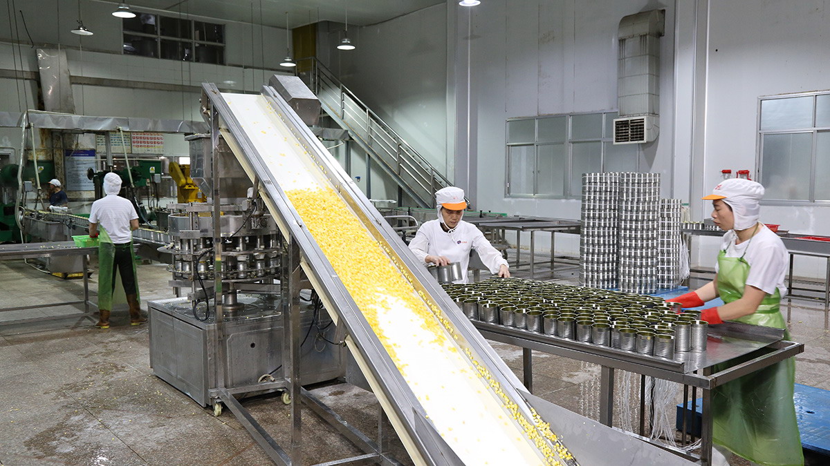 PP电子5金狮·(中国区)游戏官方网站